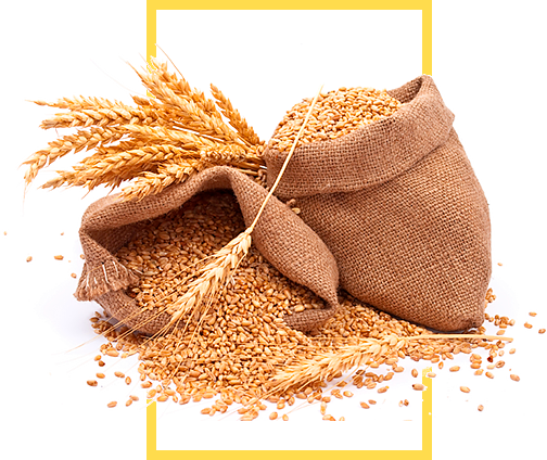 روناک تجارت بیستون